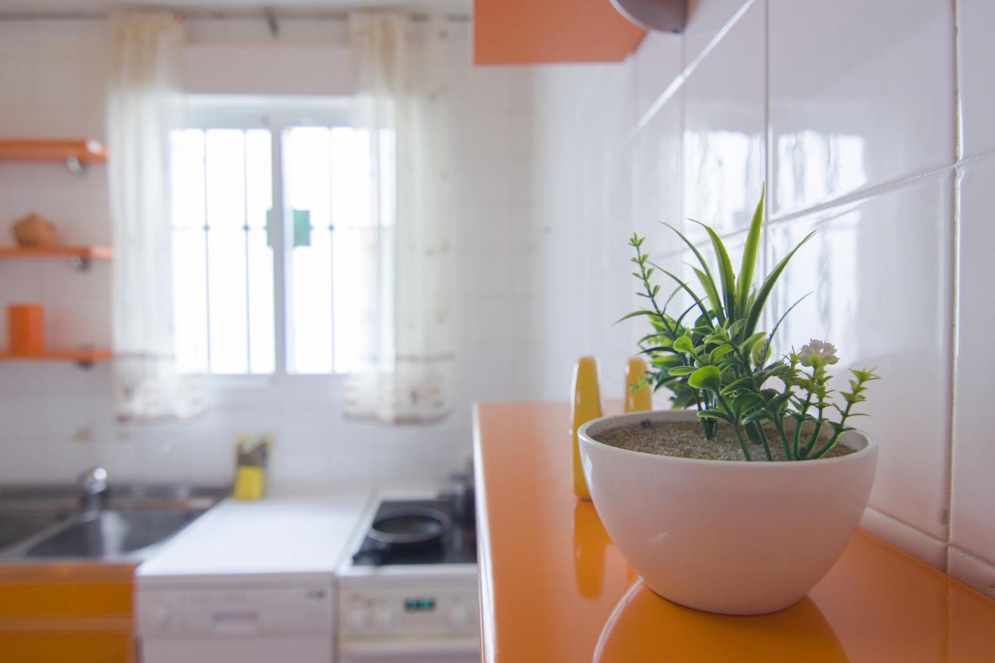 Appartement Rentalsevilla Buiza Y Mensaque Séville